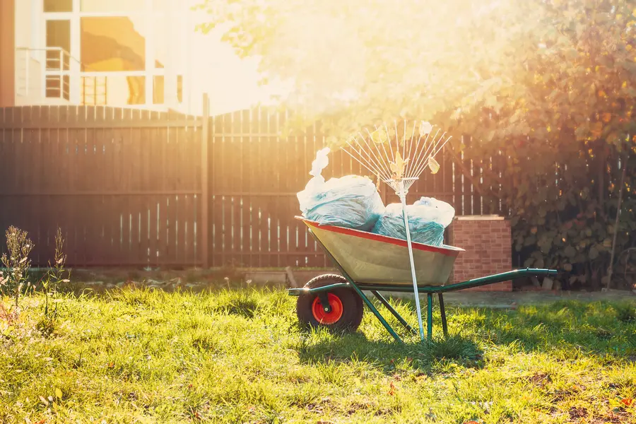 Common Yard Cleaning Mistakes To Avoid For A Neater Garden in Smithville, TX Common Yard Cleaning Mistakes To Avoid For A Neater Garden in Smithville, TX