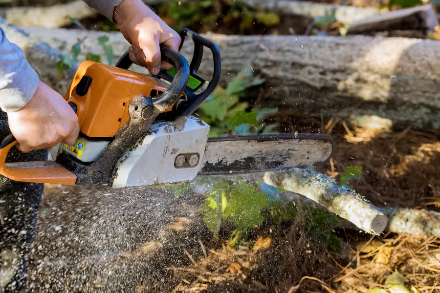 Professional Tree Service Smithville, TX Professional Tree Service Smithville, TX