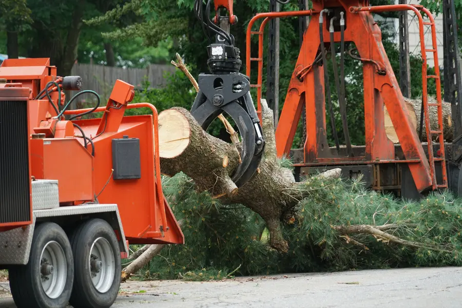 Superior Tree Service Smithville, TX Superior Tree Service Smithville, TX